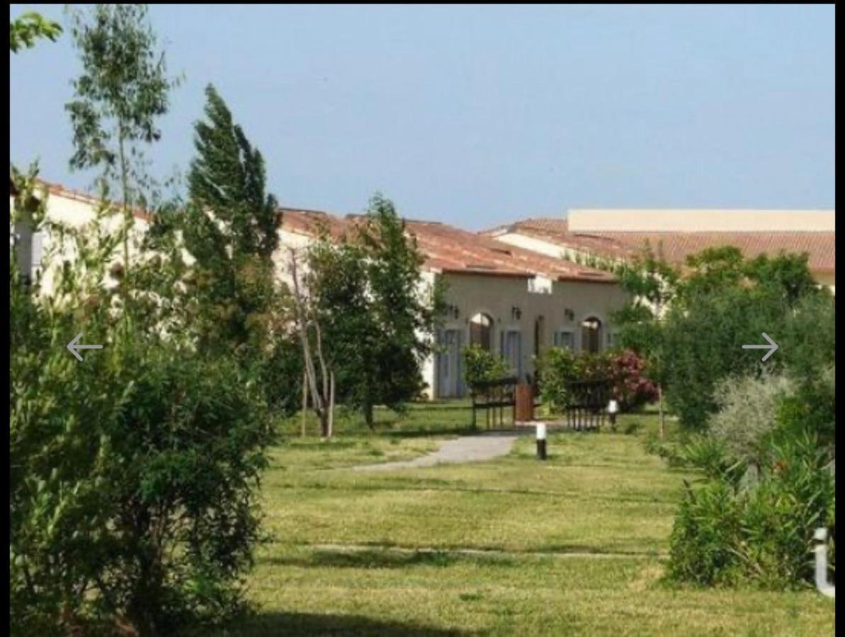 La Villa De Lina 509 -Self Check In - Gallargues-le-Montueux Dış mekan fotoğraf