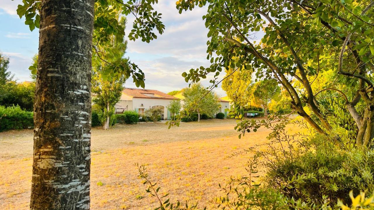 La Villa De Lina 509 -Self Check In - Gallargues-le-Montueux Dış mekan fotoğraf